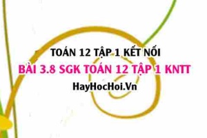 Bài 3.8 SGK Toán 12 tập 1 Kết nối tri thức